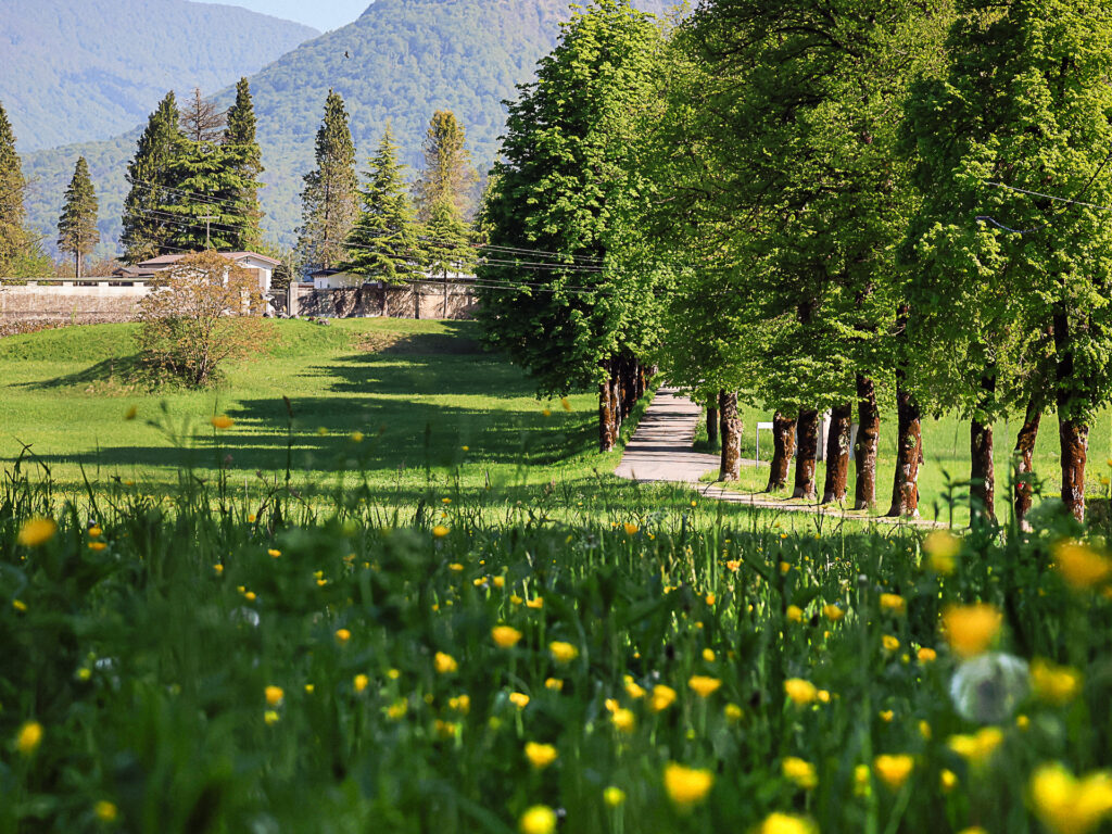 Ampezzo – Borgo Siega